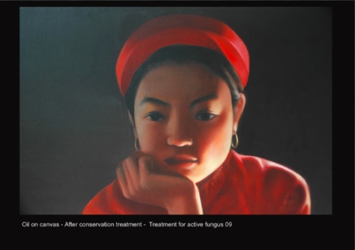 Oil on canvas - After conservation -  Treatment for active fungus